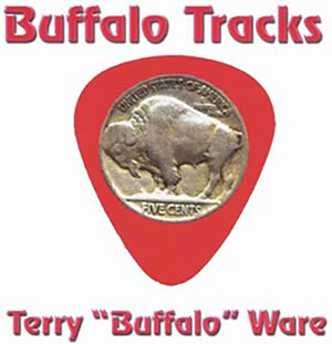Buffalo Tracks cover